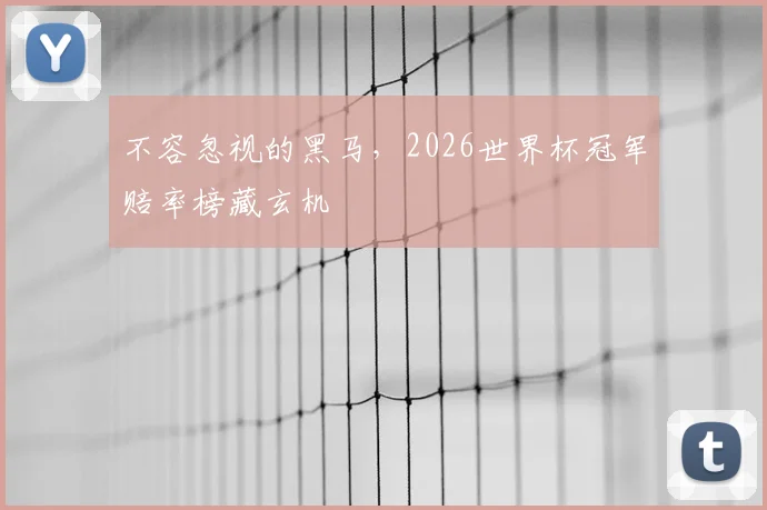 不容忽视的黑马,2026世界杯冠军赔率榜藏玄机